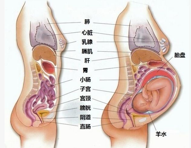 第203页