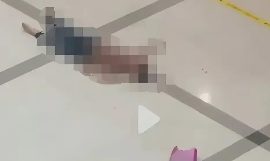 第238页
