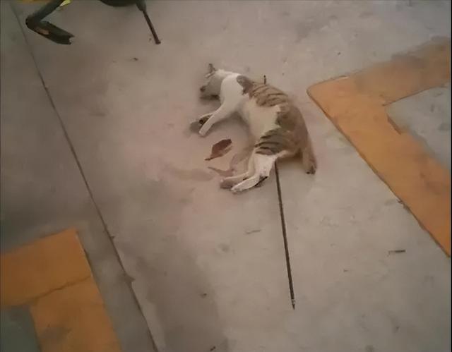 第191页